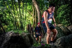 BIB: 
                            <button type="button" onclick="openModal(13522113)" class="btn btn-primary btn-sm float-right btn-popup" data-toggle="modal" data-target=".modal-high-quality">
                        <i class="fas fa-shopping-cart"></i> Add to Cart
                    </button>
                                            <button type="button" onclick="isThisMe(13522113, true)" class="btn btn-success btn-sm float-right btn-popup btn-isme hidden" data-toggle="tooltip" data-placement="bottom" title="นี่คือรูปของคุณใช่ไหม คลิกที่นี่เพื่อเอาเข้าอัลบั้ม">
                        <i class="fas fa-plus"></i> Add to album
                    </button>
                    <button type="button" onclick="isThisMe(13522113, false)" class="btn btn-warning btn-sm float-right btn-popup btn-isnotme hidden">
                        <i class="fas fa-ban"></i> Remove from album
                    </button>