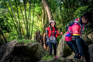 BIB: 
                            <button type="button" onclick="openModal(13522834)" class="btn btn-primary btn-sm float-right btn-popup" data-toggle="modal" data-target=".modal-high-quality">
                        <i class="fas fa-shopping-cart"></i> Add to Cart
                    </button>
                                            <button type="button" onclick="isThisMe(13522834, true)" class="btn btn-success btn-sm float-right btn-popup btn-isme hidden" data-toggle="tooltip" data-placement="bottom" title="นี่คือรูปของคุณใช่ไหม คลิกที่นี่เพื่อเอาเข้าอัลบั้ม">
                        <i class="fas fa-plus"></i> Add to album
                    </button>
                    <button type="button" onclick="isThisMe(13522834, false)" class="btn btn-warning btn-sm float-right btn-popup btn-isnotme hidden">
                        <i class="fas fa-ban"></i> Remove from album
                    </button>