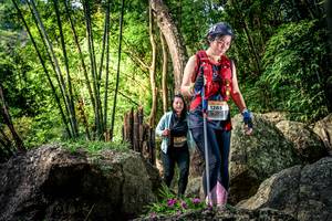 BIB: 
                            <button type="button" onclick="openModal(13522963)" class="btn btn-primary btn-sm float-right btn-popup" data-toggle="modal" data-target=".modal-high-quality">
                        <i class="fas fa-shopping-cart"></i> Add to Cart
                    </button>
                                            <button type="button" onclick="isThisMe(13522963, true)" class="btn btn-success btn-sm float-right btn-popup btn-isme hidden" data-toggle="tooltip" data-placement="bottom" title="นี่คือรูปของคุณใช่ไหม คลิกที่นี่เพื่อเอาเข้าอัลบั้ม">
                        <i class="fas fa-plus"></i> Add to album
                    </button>
                    <button type="button" onclick="isThisMe(13522963, false)" class="btn btn-warning btn-sm float-right btn-popup btn-isnotme hidden">
                        <i class="fas fa-ban"></i> Remove from album
                    </button>