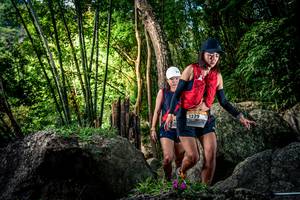 BIB: 
                            <button type="button" onclick="openModal(13522383)" class="btn btn-primary btn-sm float-right btn-popup" data-toggle="modal" data-target=".modal-high-quality">
                        <i class="fas fa-shopping-cart"></i> Add to Cart
                    </button>
                                            <button type="button" onclick="isThisMe(13522383, true)" class="btn btn-success btn-sm float-right btn-popup btn-isme hidden" data-toggle="tooltip" data-placement="bottom" title="นี่คือรูปของคุณใช่ไหม คลิกที่นี่เพื่อเอาเข้าอัลบั้ม">
                        <i class="fas fa-plus"></i> Add to album
                    </button>
                    <button type="button" onclick="isThisMe(13522383, false)" class="btn btn-warning btn-sm float-right btn-popup btn-isnotme hidden">
                        <i class="fas fa-ban"></i> Remove from album
                    </button>