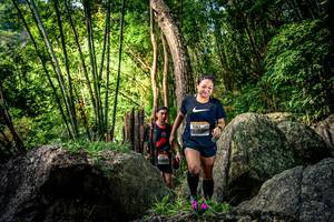 BIB: 
                            <button type="button" onclick="openModal(13522276)" class="btn btn-primary btn-sm float-right btn-popup" data-toggle="modal" data-target=".modal-high-quality">
                        <i class="fas fa-shopping-cart"></i> Add to Cart
                    </button>
                                            <button type="button" onclick="isThisMe(13522276, true)" class="btn btn-success btn-sm float-right btn-popup btn-isme hidden" data-toggle="tooltip" data-placement="bottom" title="นี่คือรูปของคุณใช่ไหม คลิกที่นี่เพื่อเอาเข้าอัลบั้ม">
                        <i class="fas fa-plus"></i> Add to album
                    </button>
                    <button type="button" onclick="isThisMe(13522276, false)" class="btn btn-warning btn-sm float-right btn-popup btn-isnotme hidden">
                        <i class="fas fa-ban"></i> Remove from album
                    </button>