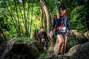 BIB: 
                            <button type="button" onclick="openModal(13522663)" class="btn btn-primary btn-sm float-right btn-popup" data-toggle="modal" data-target=".modal-high-quality">
                        <i class="fas fa-shopping-cart"></i> Add to Cart
                    </button>
                                            <button type="button" onclick="isThisMe(13522663, true)" class="btn btn-success btn-sm float-right btn-popup btn-isme hidden" data-toggle="tooltip" data-placement="bottom" title="นี่คือรูปของคุณใช่ไหม คลิกที่นี่เพื่อเอาเข้าอัลบั้ม">
                        <i class="fas fa-plus"></i> Add to album
                    </button>
                    <button type="button" onclick="isThisMe(13522663, false)" class="btn btn-warning btn-sm float-right btn-popup btn-isnotme hidden">
                        <i class="fas fa-ban"></i> Remove from album
                    </button>