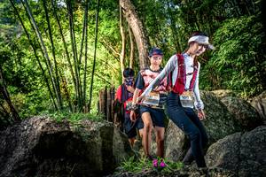 BIB: 
                            <button type="button" onclick="openModal(13522228)" class="btn btn-primary btn-sm float-right btn-popup" data-toggle="modal" data-target=".modal-high-quality">
                        <i class="fas fa-shopping-cart"></i> Add to Cart
                    </button>
                                            <button type="button" onclick="isThisMe(13522228, true)" class="btn btn-success btn-sm float-right btn-popup btn-isme hidden" data-toggle="tooltip" data-placement="bottom" title="นี่คือรูปของคุณใช่ไหม คลิกที่นี่เพื่อเอาเข้าอัลบั้ม">
                        <i class="fas fa-plus"></i> Add to album
                    </button>
                    <button type="button" onclick="isThisMe(13522228, false)" class="btn btn-warning btn-sm float-right btn-popup btn-isnotme hidden">
                        <i class="fas fa-ban"></i> Remove from album
                    </button>