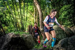 BIB: 
                            <button type="button" onclick="openModal(13522212)" class="btn btn-primary btn-sm float-right btn-popup" data-toggle="modal" data-target=".modal-high-quality">
                        <i class="fas fa-shopping-cart"></i> Add to Cart
                    </button>
                                            <button type="button" onclick="isThisMe(13522212, true)" class="btn btn-success btn-sm float-right btn-popup btn-isme hidden" data-toggle="tooltip" data-placement="bottom" title="นี่คือรูปของคุณใช่ไหม คลิกที่นี่เพื่อเอาเข้าอัลบั้ม">
                        <i class="fas fa-plus"></i> Add to album
                    </button>
                    <button type="button" onclick="isThisMe(13522212, false)" class="btn btn-warning btn-sm float-right btn-popup btn-isnotme hidden">
                        <i class="fas fa-ban"></i> Remove from album
                    </button>