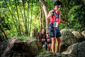 BIB: 
                            <button type="button" onclick="openModal(13523187)" class="btn btn-primary btn-sm float-right btn-popup" data-toggle="modal" data-target=".modal-high-quality">
                        <i class="fas fa-shopping-cart"></i> Add to Cart
                    </button>
                                            <button type="button" onclick="isThisMe(13523187, true)" class="btn btn-success btn-sm float-right btn-popup btn-isme hidden" data-toggle="tooltip" data-placement="bottom" title="นี่คือรูปของคุณใช่ไหม คลิกที่นี่เพื่อเอาเข้าอัลบั้ม">
                        <i class="fas fa-plus"></i> Add to album
                    </button>
                    <button type="button" onclick="isThisMe(13523187, false)" class="btn btn-warning btn-sm float-right btn-popup btn-isnotme hidden">
                        <i class="fas fa-ban"></i> Remove from album
                    </button>