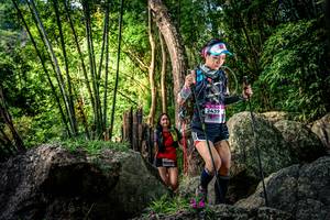 BIB: 
                            <button type="button" onclick="openModal(13522528)" class="btn btn-primary btn-sm float-right btn-popup" data-toggle="modal" data-target=".modal-high-quality">
                        <i class="fas fa-shopping-cart"></i> Add to Cart
                    </button>
                                            <button type="button" onclick="isThisMe(13522528, true)" class="btn btn-success btn-sm float-right btn-popup btn-isme hidden" data-toggle="tooltip" data-placement="bottom" title="นี่คือรูปของคุณใช่ไหม คลิกที่นี่เพื่อเอาเข้าอัลบั้ม">
                        <i class="fas fa-plus"></i> Add to album
                    </button>
                    <button type="button" onclick="isThisMe(13522528, false)" class="btn btn-warning btn-sm float-right btn-popup btn-isnotme hidden">
                        <i class="fas fa-ban"></i> Remove from album
                    </button>