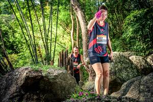 BIB: 
                            <button type="button" onclick="openModal(13523310)" class="btn btn-primary btn-sm float-right btn-popup" data-toggle="modal" data-target=".modal-high-quality">
                        <i class="fas fa-shopping-cart"></i> Add to Cart
                    </button>
                                            <button type="button" onclick="isThisMe(13523310, true)" class="btn btn-success btn-sm float-right btn-popup btn-isme hidden" data-toggle="tooltip" data-placement="bottom" title="นี่คือรูปของคุณใช่ไหม คลิกที่นี่เพื่อเอาเข้าอัลบั้ม">
                        <i class="fas fa-plus"></i> Add to album
                    </button>
                    <button type="button" onclick="isThisMe(13523310, false)" class="btn btn-warning btn-sm float-right btn-popup btn-isnotme hidden">
                        <i class="fas fa-ban"></i> Remove from album
                    </button>