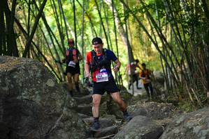 BIB: 
                            <button type="button" onclick="openModal(13647957)" class="btn btn-primary btn-sm float-right btn-popup" data-toggle="modal" data-target=".modal-high-quality">
                        <i class="fas fa-shopping-cart"></i> Add to Cart
                    </button>
                                            <button type="button" onclick="isThisMe(13647957, true)" class="btn btn-success btn-sm float-right btn-popup btn-isme hidden" data-toggle="tooltip" data-placement="bottom" title="นี่คือรูปของคุณใช่ไหม คลิกที่นี่เพื่อเอาเข้าอัลบั้ม">
                        <i class="fas fa-plus"></i> Add to album
                    </button>
                    <button type="button" onclick="isThisMe(13647957, false)" class="btn btn-warning btn-sm float-right btn-popup btn-isnotme hidden">
                        <i class="fas fa-ban"></i> Remove from album
                    </button>