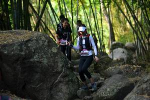 BIB: 
                            <button type="button" onclick="openModal(13648036)" class="btn btn-primary btn-sm float-right btn-popup" data-toggle="modal" data-target=".modal-high-quality">
                        <i class="fas fa-shopping-cart"></i> Add to Cart
                    </button>
                                            <button type="button" onclick="isThisMe(13648036, true)" class="btn btn-success btn-sm float-right btn-popup btn-isme hidden" data-toggle="tooltip" data-placement="bottom" title="นี่คือรูปของคุณใช่ไหม คลิกที่นี่เพื่อเอาเข้าอัลบั้ม">
                        <i class="fas fa-plus"></i> Add to album
                    </button>
                    <button type="button" onclick="isThisMe(13648036, false)" class="btn btn-warning btn-sm float-right btn-popup btn-isnotme hidden">
                        <i class="fas fa-ban"></i> Remove from album
                    </button>