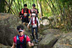 BIB: 
                            <button type="button" onclick="openModal(13689135)" class="btn btn-primary btn-sm float-right btn-popup" data-toggle="modal" data-target=".modal-high-quality">
                        <i class="fas fa-shopping-cart"></i> Add to Cart
                    </button>
                                            <button type="button" onclick="isThisMe(13689135, true)" class="btn btn-success btn-sm float-right btn-popup btn-isme hidden" data-toggle="tooltip" data-placement="bottom" title="นี่คือรูปของคุณใช่ไหม คลิกที่นี่เพื่อเอาเข้าอัลบั้ม">
                        <i class="fas fa-plus"></i> Add to album
                    </button>
                    <button type="button" onclick="isThisMe(13689135, false)" class="btn btn-warning btn-sm float-right btn-popup btn-isnotme hidden">
                        <i class="fas fa-ban"></i> Remove from album
                    </button>