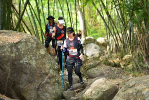 BIB: 
                            <button type="button" onclick="openModal(13695628)" class="btn btn-primary btn-sm float-right btn-popup" data-toggle="modal" data-target=".modal-high-quality">
                        <i class="fas fa-shopping-cart"></i> Add to Cart
                    </button>
                                            <button type="button" onclick="isThisMe(13695628, true)" class="btn btn-success btn-sm float-right btn-popup btn-isme hidden" data-toggle="tooltip" data-placement="bottom" title="นี่คือรูปของคุณใช่ไหม คลิกที่นี่เพื่อเอาเข้าอัลบั้ม">
                        <i class="fas fa-plus"></i> Add to album
                    </button>
                    <button type="button" onclick="isThisMe(13695628, false)" class="btn btn-warning btn-sm float-right btn-popup btn-isnotme hidden">
                        <i class="fas fa-ban"></i> Remove from album
                    </button>