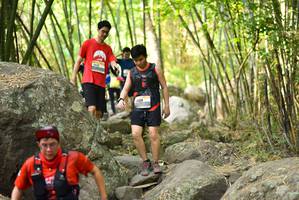 BIB: 
                            <button type="button" onclick="openModal(13671338)" class="btn btn-primary btn-sm float-right btn-popup" data-toggle="modal" data-target=".modal-high-quality">
                        <i class="fas fa-shopping-cart"></i> Add to Cart
                    </button>
                                            <button type="button" onclick="isThisMe(13671338, true)" class="btn btn-success btn-sm float-right btn-popup btn-isme hidden" data-toggle="tooltip" data-placement="bottom" title="นี่คือรูปของคุณใช่ไหม คลิกที่นี่เพื่อเอาเข้าอัลบั้ม">
                        <i class="fas fa-plus"></i> Add to album
                    </button>
                    <button type="button" onclick="isThisMe(13671338, false)" class="btn btn-warning btn-sm float-right btn-popup btn-isnotme hidden">
                        <i class="fas fa-ban"></i> Remove from album
                    </button>