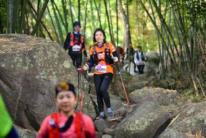 BIB: 
                            <button type="button" onclick="openModal(13651581)" class="btn btn-primary btn-sm float-right btn-popup" data-toggle="modal" data-target=".modal-high-quality">
                        <i class="fas fa-shopping-cart"></i> Add to Cart
                    </button>
                                            <button type="button" onclick="isThisMe(13651581, true)" class="btn btn-success btn-sm float-right btn-popup btn-isme hidden" data-toggle="tooltip" data-placement="bottom" title="นี่คือรูปของคุณใช่ไหม คลิกที่นี่เพื่อเอาเข้าอัลบั้ม">
                        <i class="fas fa-plus"></i> Add to album
                    </button>
                    <button type="button" onclick="isThisMe(13651581, false)" class="btn btn-warning btn-sm float-right btn-popup btn-isnotme hidden">
                        <i class="fas fa-ban"></i> Remove from album
                    </button>