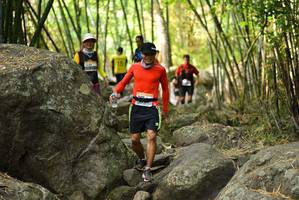 BIB: 
                            <button type="button" onclick="openModal(13671332)" class="btn btn-primary btn-sm float-right btn-popup" data-toggle="modal" data-target=".modal-high-quality">
                        <i class="fas fa-shopping-cart"></i> Add to Cart
                    </button>
                                            <button type="button" onclick="isThisMe(13671332, true)" class="btn btn-success btn-sm float-right btn-popup btn-isme hidden" data-toggle="tooltip" data-placement="bottom" title="นี่คือรูปของคุณใช่ไหม คลิกที่นี่เพื่อเอาเข้าอัลบั้ม">
                        <i class="fas fa-plus"></i> Add to album
                    </button>
                    <button type="button" onclick="isThisMe(13671332, false)" class="btn btn-warning btn-sm float-right btn-popup btn-isnotme hidden">
                        <i class="fas fa-ban"></i> Remove from album
                    </button>