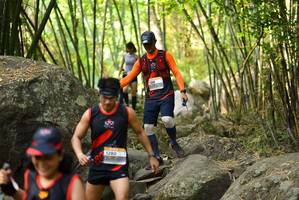 BIB: 
                            <button type="button" onclick="openModal(13671319)" class="btn btn-primary btn-sm float-right btn-popup" data-toggle="modal" data-target=".modal-high-quality">
                        <i class="fas fa-shopping-cart"></i> Add to Cart
                    </button>
                                            <button type="button" onclick="isThisMe(13671319, true)" class="btn btn-success btn-sm float-right btn-popup btn-isme hidden" data-toggle="tooltip" data-placement="bottom" title="นี่คือรูปของคุณใช่ไหม คลิกที่นี่เพื่อเอาเข้าอัลบั้ม">
                        <i class="fas fa-plus"></i> Add to album
                    </button>
                    <button type="button" onclick="isThisMe(13671319, false)" class="btn btn-warning btn-sm float-right btn-popup btn-isnotme hidden">
                        <i class="fas fa-ban"></i> Remove from album
                    </button>