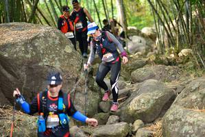 BIB: 
                            <button type="button" onclick="openModal(13696228)" class="btn btn-primary btn-sm float-right btn-popup" data-toggle="modal" data-target=".modal-high-quality">
                        <i class="fas fa-shopping-cart"></i> Add to Cart
                    </button>
                                            <button type="button" onclick="isThisMe(13696228, true)" class="btn btn-success btn-sm float-right btn-popup btn-isme hidden" data-toggle="tooltip" data-placement="bottom" title="นี่คือรูปของคุณใช่ไหม คลิกที่นี่เพื่อเอาเข้าอัลบั้ม">
                        <i class="fas fa-plus"></i> Add to album
                    </button>
                    <button type="button" onclick="isThisMe(13696228, false)" class="btn btn-warning btn-sm float-right btn-popup btn-isnotme hidden">
                        <i class="fas fa-ban"></i> Remove from album
                    </button>