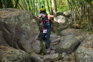 BIB: 
                            <button type="button" onclick="openModal(13688956)" class="btn btn-primary btn-sm float-right btn-popup" data-toggle="modal" data-target=".modal-high-quality">
                        <i class="fas fa-shopping-cart"></i> Add to Cart
                    </button>
                                            <button type="button" onclick="isThisMe(13688956, true)" class="btn btn-success btn-sm float-right btn-popup btn-isme hidden" data-toggle="tooltip" data-placement="bottom" title="นี่คือรูปของคุณใช่ไหม คลิกที่นี่เพื่อเอาเข้าอัลบั้ม">
                        <i class="fas fa-plus"></i> Add to album
                    </button>
                    <button type="button" onclick="isThisMe(13688956, false)" class="btn btn-warning btn-sm float-right btn-popup btn-isnotme hidden">
                        <i class="fas fa-ban"></i> Remove from album
                    </button>