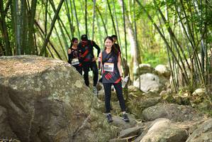 BIB: 
                            <button type="button" onclick="openModal(13695679)" class="btn btn-primary btn-sm float-right btn-popup" data-toggle="modal" data-target=".modal-high-quality">
                        <i class="fas fa-shopping-cart"></i> Add to Cart
                    </button>
                                            <button type="button" onclick="isThisMe(13695679, true)" class="btn btn-success btn-sm float-right btn-popup btn-isme hidden" data-toggle="tooltip" data-placement="bottom" title="นี่คือรูปของคุณใช่ไหม คลิกที่นี่เพื่อเอาเข้าอัลบั้ม">
                        <i class="fas fa-plus"></i> Add to album
                    </button>
                    <button type="button" onclick="isThisMe(13695679, false)" class="btn btn-warning btn-sm float-right btn-popup btn-isnotme hidden">
                        <i class="fas fa-ban"></i> Remove from album
                    </button>