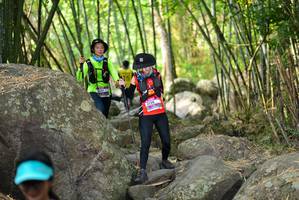 BIB: 
                            <button type="button" onclick="openModal(13688718)" class="btn btn-primary btn-sm float-right btn-popup" data-toggle="modal" data-target=".modal-high-quality">
                        <i class="fas fa-shopping-cart"></i> Add to Cart
                    </button>
                                            <button type="button" onclick="isThisMe(13688718, true)" class="btn btn-success btn-sm float-right btn-popup btn-isme hidden" data-toggle="tooltip" data-placement="bottom" title="นี่คือรูปของคุณใช่ไหม คลิกที่นี่เพื่อเอาเข้าอัลบั้ม">
                        <i class="fas fa-plus"></i> Add to album
                    </button>
                    <button type="button" onclick="isThisMe(13688718, false)" class="btn btn-warning btn-sm float-right btn-popup btn-isnotme hidden">
                        <i class="fas fa-ban"></i> Remove from album
                    </button>