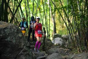 BIB: 
                            <button type="button" onclick="openModal(13648092)" class="btn btn-primary btn-sm float-right btn-popup" data-toggle="modal" data-target=".modal-high-quality">
                        <i class="fas fa-shopping-cart"></i> Add to Cart
                    </button>
                                            <button type="button" onclick="isThisMe(13648092, true)" class="btn btn-success btn-sm float-right btn-popup btn-isme hidden" data-toggle="tooltip" data-placement="bottom" title="นี่คือรูปของคุณใช่ไหม คลิกที่นี่เพื่อเอาเข้าอัลบั้ม">
                        <i class="fas fa-plus"></i> Add to album
                    </button>
                    <button type="button" onclick="isThisMe(13648092, false)" class="btn btn-warning btn-sm float-right btn-popup btn-isnotme hidden">
                        <i class="fas fa-ban"></i> Remove from album
                    </button>