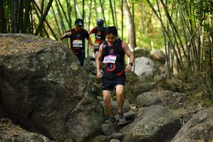 BIB: 
                            <button type="button" onclick="openModal(13668939)" class="btn btn-primary btn-sm float-right btn-popup" data-toggle="modal" data-target=".modal-high-quality">
                        <i class="fas fa-shopping-cart"></i> Add to Cart
                    </button>
                                            <button type="button" onclick="isThisMe(13668939, true)" class="btn btn-success btn-sm float-right btn-popup btn-isme hidden" data-toggle="tooltip" data-placement="bottom" title="นี่คือรูปของคุณใช่ไหม คลิกที่นี่เพื่อเอาเข้าอัลบั้ม">
                        <i class="fas fa-plus"></i> Add to album
                    </button>
                    <button type="button" onclick="isThisMe(13668939, false)" class="btn btn-warning btn-sm float-right btn-popup btn-isnotme hidden">
                        <i class="fas fa-ban"></i> Remove from album
                    </button>