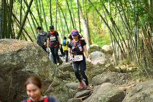 BIB: 
                            <button type="button" onclick="openModal(13694741)" class="btn btn-primary btn-sm float-right btn-popup" data-toggle="modal" data-target=".modal-high-quality">
                        <i class="fas fa-shopping-cart"></i> Add to Cart
                    </button>
                                            <button type="button" onclick="isThisMe(13694741, true)" class="btn btn-success btn-sm float-right btn-popup btn-isme hidden" data-toggle="tooltip" data-placement="bottom" title="นี่คือรูปของคุณใช่ไหม คลิกที่นี่เพื่อเอาเข้าอัลบั้ม">
                        <i class="fas fa-plus"></i> Add to album
                    </button>
                    <button type="button" onclick="isThisMe(13694741, false)" class="btn btn-warning btn-sm float-right btn-popup btn-isnotme hidden">
                        <i class="fas fa-ban"></i> Remove from album
                    </button>