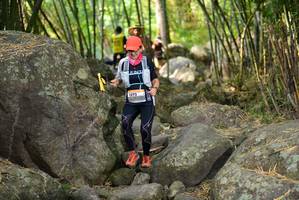 BIB: 
                            <button type="button" onclick="openModal(13688873)" class="btn btn-primary btn-sm float-right btn-popup" data-toggle="modal" data-target=".modal-high-quality">
                        <i class="fas fa-shopping-cart"></i> Add to Cart
                    </button>
                                            <button type="button" onclick="isThisMe(13688873, true)" class="btn btn-success btn-sm float-right btn-popup btn-isme hidden" data-toggle="tooltip" data-placement="bottom" title="นี่คือรูปของคุณใช่ไหม คลิกที่นี่เพื่อเอาเข้าอัลบั้ม">
                        <i class="fas fa-plus"></i> Add to album
                    </button>
                    <button type="button" onclick="isThisMe(13688873, false)" class="btn btn-warning btn-sm float-right btn-popup btn-isnotme hidden">
                        <i class="fas fa-ban"></i> Remove from album
                    </button>