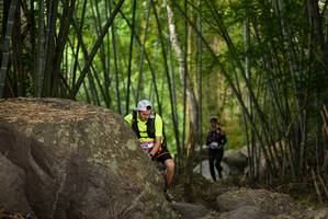 BIB: 
                            <button type="button" onclick="openModal(13645126)" class="btn btn-primary btn-sm float-right btn-popup" data-toggle="modal" data-target=".modal-high-quality">
                        <i class="fas fa-shopping-cart"></i> Add to Cart
                    </button>
                                            <button type="button" onclick="isThisMe(13645126, true)" class="btn btn-success btn-sm float-right btn-popup btn-isme hidden" data-toggle="tooltip" data-placement="bottom" title="นี่คือรูปของคุณใช่ไหม คลิกที่นี่เพื่อเอาเข้าอัลบั้ม">
                        <i class="fas fa-plus"></i> Add to album
                    </button>
                    <button type="button" onclick="isThisMe(13645126, false)" class="btn btn-warning btn-sm float-right btn-popup btn-isnotme hidden">
                        <i class="fas fa-ban"></i> Remove from album
                    </button>