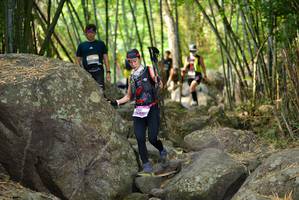 BIB: 
                            <button type="button" onclick="openModal(13689056)" class="btn btn-primary btn-sm float-right btn-popup" data-toggle="modal" data-target=".modal-high-quality">
                        <i class="fas fa-shopping-cart"></i> Add to Cart
                    </button>
                                            <button type="button" onclick="isThisMe(13689056, true)" class="btn btn-success btn-sm float-right btn-popup btn-isme hidden" data-toggle="tooltip" data-placement="bottom" title="นี่คือรูปของคุณใช่ไหม คลิกที่นี่เพื่อเอาเข้าอัลบั้ม">
                        <i class="fas fa-plus"></i> Add to album
                    </button>
                    <button type="button" onclick="isThisMe(13689056, false)" class="btn btn-warning btn-sm float-right btn-popup btn-isnotme hidden">
                        <i class="fas fa-ban"></i> Remove from album
                    </button>