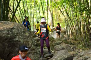 BIB: 
                            <button type="button" onclick="openModal(13671331)" class="btn btn-primary btn-sm float-right btn-popup" data-toggle="modal" data-target=".modal-high-quality">
                        <i class="fas fa-shopping-cart"></i> Add to Cart
                    </button>
                                            <button type="button" onclick="isThisMe(13671331, true)" class="btn btn-success btn-sm float-right btn-popup btn-isme hidden" data-toggle="tooltip" data-placement="bottom" title="นี่คือรูปของคุณใช่ไหม คลิกที่นี่เพื่อเอาเข้าอัลบั้ม">
                        <i class="fas fa-plus"></i> Add to album
                    </button>
                    <button type="button" onclick="isThisMe(13671331, false)" class="btn btn-warning btn-sm float-right btn-popup btn-isnotme hidden">
                        <i class="fas fa-ban"></i> Remove from album
                    </button>