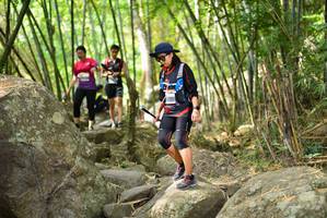 BIB: 
                            <button type="button" onclick="openModal(13695634)" class="btn btn-primary btn-sm float-right btn-popup" data-toggle="modal" data-target=".modal-high-quality">
                        <i class="fas fa-shopping-cart"></i> Add to Cart
                    </button>
                                            <button type="button" onclick="isThisMe(13695634, true)" class="btn btn-success btn-sm float-right btn-popup btn-isme hidden" data-toggle="tooltip" data-placement="bottom" title="นี่คือรูปของคุณใช่ไหม คลิกที่นี่เพื่อเอาเข้าอัลบั้ม">
                        <i class="fas fa-plus"></i> Add to album
                    </button>
                    <button type="button" onclick="isThisMe(13695634, false)" class="btn btn-warning btn-sm float-right btn-popup btn-isnotme hidden">
                        <i class="fas fa-ban"></i> Remove from album
                    </button>