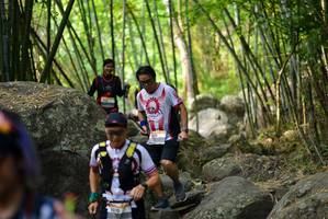 BIB: 
                            <button type="button" onclick="openModal(13689637)" class="btn btn-primary btn-sm float-right btn-popup" data-toggle="modal" data-target=".modal-high-quality">
                        <i class="fas fa-shopping-cart"></i> Add to Cart
                    </button>
                                            <button type="button" onclick="isThisMe(13689637, true)" class="btn btn-success btn-sm float-right btn-popup btn-isme hidden" data-toggle="tooltip" data-placement="bottom" title="นี่คือรูปของคุณใช่ไหม คลิกที่นี่เพื่อเอาเข้าอัลบั้ม">
                        <i class="fas fa-plus"></i> Add to album
                    </button>
                    <button type="button" onclick="isThisMe(13689637, false)" class="btn btn-warning btn-sm float-right btn-popup btn-isnotme hidden">
                        <i class="fas fa-ban"></i> Remove from album
                    </button>