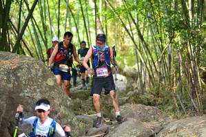 BIB: 
                            <button type="button" onclick="openModal(13678193)" class="btn btn-primary btn-sm float-right btn-popup" data-toggle="modal" data-target=".modal-high-quality">
                        <i class="fas fa-shopping-cart"></i> Add to Cart
                    </button>
                                            <button type="button" onclick="isThisMe(13678193, true)" class="btn btn-success btn-sm float-right btn-popup btn-isme hidden" data-toggle="tooltip" data-placement="bottom" title="นี่คือรูปของคุณใช่ไหม คลิกที่นี่เพื่อเอาเข้าอัลบั้ม">
                        <i class="fas fa-plus"></i> Add to album
                    </button>
                    <button type="button" onclick="isThisMe(13678193, false)" class="btn btn-warning btn-sm float-right btn-popup btn-isnotme hidden">
                        <i class="fas fa-ban"></i> Remove from album
                    </button>