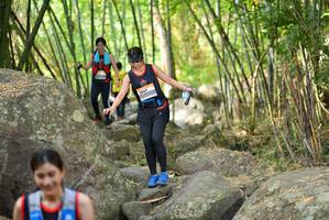 BIB: 
                            <button type="button" onclick="openModal(13688847)" class="btn btn-primary btn-sm float-right btn-popup" data-toggle="modal" data-target=".modal-high-quality">
                        <i class="fas fa-shopping-cart"></i> Add to Cart
                    </button>
                                            <button type="button" onclick="isThisMe(13688847, true)" class="btn btn-success btn-sm float-right btn-popup btn-isme hidden" data-toggle="tooltip" data-placement="bottom" title="นี่คือรูปของคุณใช่ไหม คลิกที่นี่เพื่อเอาเข้าอัลบั้ม">
                        <i class="fas fa-plus"></i> Add to album
                    </button>
                    <button type="button" onclick="isThisMe(13688847, false)" class="btn btn-warning btn-sm float-right btn-popup btn-isnotme hidden">
                        <i class="fas fa-ban"></i> Remove from album
                    </button>