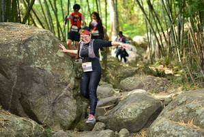 BIB: 
                            <button type="button" onclick="openModal(13694808)" class="btn btn-primary btn-sm float-right btn-popup" data-toggle="modal" data-target=".modal-high-quality">
                        <i class="fas fa-shopping-cart"></i> Add to Cart
                    </button>
                                            <button type="button" onclick="isThisMe(13694808, true)" class="btn btn-success btn-sm float-right btn-popup btn-isme hidden" data-toggle="tooltip" data-placement="bottom" title="นี่คือรูปของคุณใช่ไหม คลิกที่นี่เพื่อเอาเข้าอัลบั้ม">
                        <i class="fas fa-plus"></i> Add to album
                    </button>
                    <button type="button" onclick="isThisMe(13694808, false)" class="btn btn-warning btn-sm float-right btn-popup btn-isnotme hidden">
                        <i class="fas fa-ban"></i> Remove from album
                    </button>