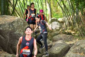 BIB: 
                            <button type="button" onclick="openModal(13695187)" class="btn btn-primary btn-sm float-right btn-popup" data-toggle="modal" data-target=".modal-high-quality">
                        <i class="fas fa-shopping-cart"></i> Add to Cart
                    </button>
                                            <button type="button" onclick="isThisMe(13695187, true)" class="btn btn-success btn-sm float-right btn-popup btn-isme hidden" data-toggle="tooltip" data-placement="bottom" title="นี่คือรูปของคุณใช่ไหม คลิกที่นี่เพื่อเอาเข้าอัลบั้ม">
                        <i class="fas fa-plus"></i> Add to album
                    </button>
                    <button type="button" onclick="isThisMe(13695187, false)" class="btn btn-warning btn-sm float-right btn-popup btn-isnotme hidden">
                        <i class="fas fa-ban"></i> Remove from album
                    </button>