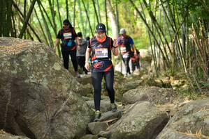 BIB: 
                            <button type="button" onclick="openModal(13694757)" class="btn btn-primary btn-sm float-right btn-popup" data-toggle="modal" data-target=".modal-high-quality">
                        <i class="fas fa-shopping-cart"></i> Add to Cart
                    </button>
                                            <button type="button" onclick="isThisMe(13694757, true)" class="btn btn-success btn-sm float-right btn-popup btn-isme hidden" data-toggle="tooltip" data-placement="bottom" title="นี่คือรูปของคุณใช่ไหม คลิกที่นี่เพื่อเอาเข้าอัลบั้ม">
                        <i class="fas fa-plus"></i> Add to album
                    </button>
                    <button type="button" onclick="isThisMe(13694757, false)" class="btn btn-warning btn-sm float-right btn-popup btn-isnotme hidden">
                        <i class="fas fa-ban"></i> Remove from album
                    </button>