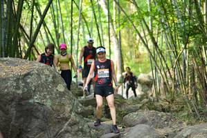 BIB: 
                            <button type="button" onclick="openModal(13688624)" class="btn btn-primary btn-sm float-right btn-popup" data-toggle="modal" data-target=".modal-high-quality">
                        <i class="fas fa-shopping-cart"></i> Add to Cart
                    </button>
                                            <button type="button" onclick="isThisMe(13688624, true)" class="btn btn-success btn-sm float-right btn-popup btn-isme hidden" data-toggle="tooltip" data-placement="bottom" title="นี่คือรูปของคุณใช่ไหม คลิกที่นี่เพื่อเอาเข้าอัลบั้ม">
                        <i class="fas fa-plus"></i> Add to album
                    </button>
                    <button type="button" onclick="isThisMe(13688624, false)" class="btn btn-warning btn-sm float-right btn-popup btn-isnotme hidden">
                        <i class="fas fa-ban"></i> Remove from album
                    </button>