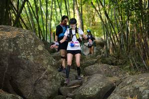 BIB: 
                            <button type="button" onclick="openModal(13668717)" class="btn btn-primary btn-sm float-right btn-popup" data-toggle="modal" data-target=".modal-high-quality">
                        <i class="fas fa-shopping-cart"></i> Add to Cart
                    </button>
                                            <button type="button" onclick="isThisMe(13668717, true)" class="btn btn-success btn-sm float-right btn-popup btn-isme hidden" data-toggle="tooltip" data-placement="bottom" title="นี่คือรูปของคุณใช่ไหม คลิกที่นี่เพื่อเอาเข้าอัลบั้ม">
                        <i class="fas fa-plus"></i> Add to album
                    </button>
                    <button type="button" onclick="isThisMe(13668717, false)" class="btn btn-warning btn-sm float-right btn-popup btn-isnotme hidden">
                        <i class="fas fa-ban"></i> Remove from album
                    </button>