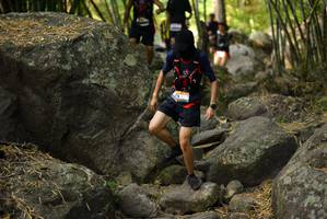 BIB: 
                            <button type="button" onclick="openModal(13668890)" class="btn btn-primary btn-sm float-right btn-popup" data-toggle="modal" data-target=".modal-high-quality">
                        <i class="fas fa-shopping-cart"></i> Add to Cart
                    </button>
                                            <button type="button" onclick="isThisMe(13668890, true)" class="btn btn-success btn-sm float-right btn-popup btn-isme hidden" data-toggle="tooltip" data-placement="bottom" title="นี่คือรูปของคุณใช่ไหม คลิกที่นี่เพื่อเอาเข้าอัลบั้ม">
                        <i class="fas fa-plus"></i> Add to album
                    </button>
                    <button type="button" onclick="isThisMe(13668890, false)" class="btn btn-warning btn-sm float-right btn-popup btn-isnotme hidden">
                        <i class="fas fa-ban"></i> Remove from album
                    </button>