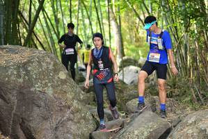 BIB: 
                            <button type="button" onclick="openModal(13671419)" class="btn btn-primary btn-sm float-right btn-popup" data-toggle="modal" data-target=".modal-high-quality">
                        <i class="fas fa-shopping-cart"></i> Add to Cart
                    </button>
                                            <button type="button" onclick="isThisMe(13671419, true)" class="btn btn-success btn-sm float-right btn-popup btn-isme hidden" data-toggle="tooltip" data-placement="bottom" title="นี่คือรูปของคุณใช่ไหม คลิกที่นี่เพื่อเอาเข้าอัลบั้ม">
                        <i class="fas fa-plus"></i> Add to album
                    </button>
                    <button type="button" onclick="isThisMe(13671419, false)" class="btn btn-warning btn-sm float-right btn-popup btn-isnotme hidden">
                        <i class="fas fa-ban"></i> Remove from album
                    </button>