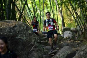 BIB: 
                            <button type="button" onclick="openModal(13648045)" class="btn btn-primary btn-sm float-right btn-popup" data-toggle="modal" data-target=".modal-high-quality">
                        <i class="fas fa-shopping-cart"></i> Add to Cart
                    </button>
                                            <button type="button" onclick="isThisMe(13648045, true)" class="btn btn-success btn-sm float-right btn-popup btn-isme hidden" data-toggle="tooltip" data-placement="bottom" title="นี่คือรูปของคุณใช่ไหม คลิกที่นี่เพื่อเอาเข้าอัลบั้ม">
                        <i class="fas fa-plus"></i> Add to album
                    </button>
                    <button type="button" onclick="isThisMe(13648045, false)" class="btn btn-warning btn-sm float-right btn-popup btn-isnotme hidden">
                        <i class="fas fa-ban"></i> Remove from album
                    </button>