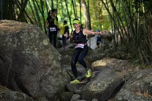 BIB: 
                            <button type="button" onclick="openModal(13657001)" class="btn btn-primary btn-sm float-right btn-popup" data-toggle="modal" data-target=".modal-high-quality">
                        <i class="fas fa-shopping-cart"></i> Add to Cart
                    </button>
                                            <button type="button" onclick="isThisMe(13657001, true)" class="btn btn-success btn-sm float-right btn-popup btn-isme hidden" data-toggle="tooltip" data-placement="bottom" title="นี่คือรูปของคุณใช่ไหม คลิกที่นี่เพื่อเอาเข้าอัลบั้ม">
                        <i class="fas fa-plus"></i> Add to album
                    </button>
                    <button type="button" onclick="isThisMe(13657001, false)" class="btn btn-warning btn-sm float-right btn-popup btn-isnotme hidden">
                        <i class="fas fa-ban"></i> Remove from album
                    </button>