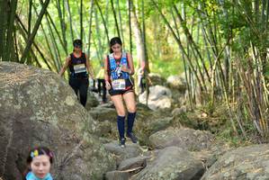 BIB: 
                            <button type="button" onclick="openModal(13688840)" class="btn btn-primary btn-sm float-right btn-popup" data-toggle="modal" data-target=".modal-high-quality">
                        <i class="fas fa-shopping-cart"></i> Add to Cart
                    </button>
                                            <button type="button" onclick="isThisMe(13688840, true)" class="btn btn-success btn-sm float-right btn-popup btn-isme hidden" data-toggle="tooltip" data-placement="bottom" title="นี่คือรูปของคุณใช่ไหม คลิกที่นี่เพื่อเอาเข้าอัลบั้ม">
                        <i class="fas fa-plus"></i> Add to album
                    </button>
                    <button type="button" onclick="isThisMe(13688840, false)" class="btn btn-warning btn-sm float-right btn-popup btn-isnotme hidden">
                        <i class="fas fa-ban"></i> Remove from album
                    </button>