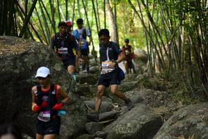 BIB: 
                            <button type="button" onclick="openModal(13668778)" class="btn btn-primary btn-sm float-right btn-popup" data-toggle="modal" data-target=".modal-high-quality">
                        <i class="fas fa-shopping-cart"></i> Add to Cart
                    </button>
                                            <button type="button" onclick="isThisMe(13668778, true)" class="btn btn-success btn-sm float-right btn-popup btn-isme hidden" data-toggle="tooltip" data-placement="bottom" title="นี่คือรูปของคุณใช่ไหม คลิกที่นี่เพื่อเอาเข้าอัลบั้ม">
                        <i class="fas fa-plus"></i> Add to album
                    </button>
                    <button type="button" onclick="isThisMe(13668778, false)" class="btn btn-warning btn-sm float-right btn-popup btn-isnotme hidden">
                        <i class="fas fa-ban"></i> Remove from album
                    </button>