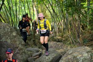 BIB: 
                            <button type="button" onclick="openModal(13688977)" class="btn btn-primary btn-sm float-right btn-popup" data-toggle="modal" data-target=".modal-high-quality">
                        <i class="fas fa-shopping-cart"></i> Add to Cart
                    </button>
                                            <button type="button" onclick="isThisMe(13688977, true)" class="btn btn-success btn-sm float-right btn-popup btn-isme hidden" data-toggle="tooltip" data-placement="bottom" title="นี่คือรูปของคุณใช่ไหม คลิกที่นี่เพื่อเอาเข้าอัลบั้ม">
                        <i class="fas fa-plus"></i> Add to album
                    </button>
                    <button type="button" onclick="isThisMe(13688977, false)" class="btn btn-warning btn-sm float-right btn-popup btn-isnotme hidden">
                        <i class="fas fa-ban"></i> Remove from album
                    </button>