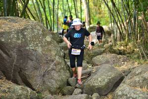 BIB: 
                            <button type="button" onclick="openModal(13693072)" class="btn btn-primary btn-sm float-right btn-popup" data-toggle="modal" data-target=".modal-high-quality">
                        <i class="fas fa-shopping-cart"></i> Add to Cart
                    </button>
                                            <button type="button" onclick="isThisMe(13693072, true)" class="btn btn-success btn-sm float-right btn-popup btn-isme hidden" data-toggle="tooltip" data-placement="bottom" title="นี่คือรูปของคุณใช่ไหม คลิกที่นี่เพื่อเอาเข้าอัลบั้ม">
                        <i class="fas fa-plus"></i> Add to album
                    </button>
                    <button type="button" onclick="isThisMe(13693072, false)" class="btn btn-warning btn-sm float-right btn-popup btn-isnotme hidden">
                        <i class="fas fa-ban"></i> Remove from album
                    </button>