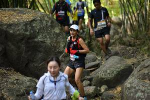 BIB: 
                            <button type="button" onclick="openModal(13668780)" class="btn btn-primary btn-sm float-right btn-popup" data-toggle="modal" data-target=".modal-high-quality">
                        <i class="fas fa-shopping-cart"></i> Add to Cart
                    </button>
                                            <button type="button" onclick="isThisMe(13668780, true)" class="btn btn-success btn-sm float-right btn-popup btn-isme hidden" data-toggle="tooltip" data-placement="bottom" title="นี่คือรูปของคุณใช่ไหม คลิกที่นี่เพื่อเอาเข้าอัลบั้ม">
                        <i class="fas fa-plus"></i> Add to album
                    </button>
                    <button type="button" onclick="isThisMe(13668780, false)" class="btn btn-warning btn-sm float-right btn-popup btn-isnotme hidden">
                        <i class="fas fa-ban"></i> Remove from album
                    </button>