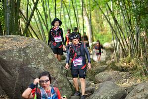 BIB: 
                            <button type="button" onclick="openModal(13693083)" class="btn btn-primary btn-sm float-right btn-popup" data-toggle="modal" data-target=".modal-high-quality">
                        <i class="fas fa-shopping-cart"></i> Add to Cart
                    </button>
                                            <button type="button" onclick="isThisMe(13693083, true)" class="btn btn-success btn-sm float-right btn-popup btn-isme hidden" data-toggle="tooltip" data-placement="bottom" title="นี่คือรูปของคุณใช่ไหม คลิกที่นี่เพื่อเอาเข้าอัลบั้ม">
                        <i class="fas fa-plus"></i> Add to album
                    </button>
                    <button type="button" onclick="isThisMe(13693083, false)" class="btn btn-warning btn-sm float-right btn-popup btn-isnotme hidden">
                        <i class="fas fa-ban"></i> Remove from album
                    </button>