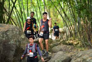 BIB: 
                            <button type="button" onclick="openModal(13693606)" class="btn btn-primary btn-sm float-right btn-popup" data-toggle="modal" data-target=".modal-high-quality">
                        <i class="fas fa-shopping-cart"></i> Add to Cart
                    </button>
                                            <button type="button" onclick="isThisMe(13693606, true)" class="btn btn-success btn-sm float-right btn-popup btn-isme hidden" data-toggle="tooltip" data-placement="bottom" title="นี่คือรูปของคุณใช่ไหม คลิกที่นี่เพื่อเอาเข้าอัลบั้ม">
                        <i class="fas fa-plus"></i> Add to album
                    </button>
                    <button type="button" onclick="isThisMe(13693606, false)" class="btn btn-warning btn-sm float-right btn-popup btn-isnotme hidden">
                        <i class="fas fa-ban"></i> Remove from album
                    </button>